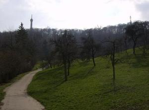 HPIM2176.jpg
