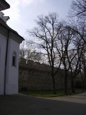 HPIM2189.jpg