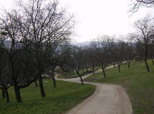 HPIM2203.jpg