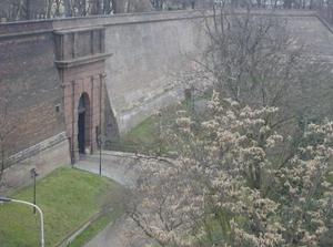 HPIM2272.jpg