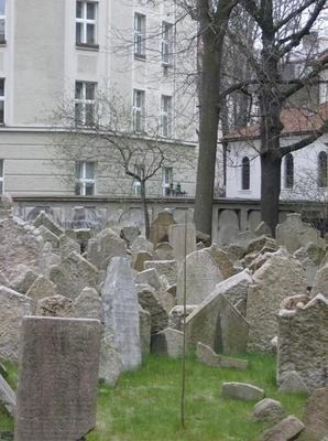 HPIM2303.jpg