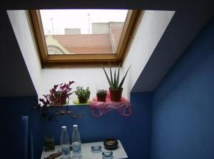HPIM2306.jpg
