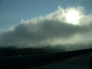 FriMar3020070456AM_5.jpg