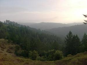 FriNov2820080415PM_2.jpg