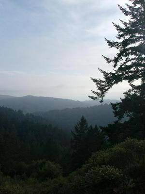 FriNov2820080415PM.jpg