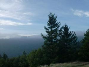FriNov2820080424PM_2.jpg