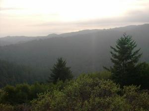 FriNov2820080424PM_4.jpg