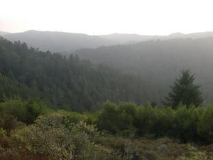 FriNov2820080424PM_5.jpg