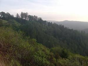 FriNov2820080425PM.jpg