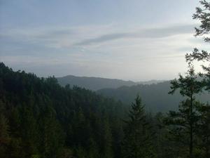 FriNov2820080445PM_2.jpg