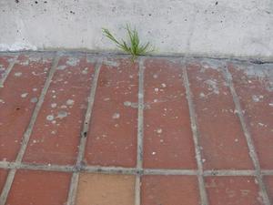 FriSep520080935AM.jpg