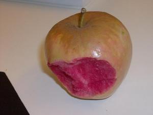 FriSep520081040AM.jpg