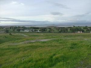 MonMar1620090701PM_2.jpg