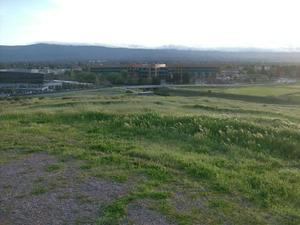 MonMar1620090702PM_2.jpg