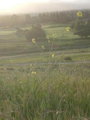 MonMar1620090703PM_2.jpg