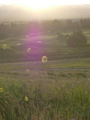 MonMar1620090703PM_3.jpg
