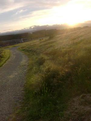 MonMar1620090710PM_2.jpg