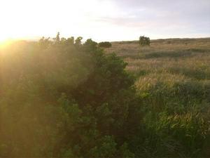 MonMar1620090714PM_2.jpg