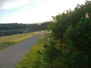 MonMar1620090714PM_3.jpg