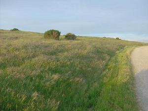 MonMar1620090714PM.jpg