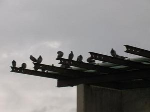 MonNov320081034AM.jpg