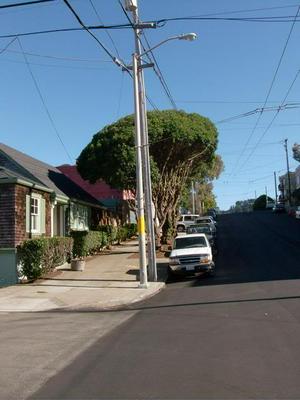 SatAug220080522PM_2.jpg