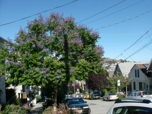 SatAug220080523PM_2.jpg
