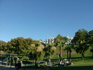 SatAug220080659PM_3.jpg