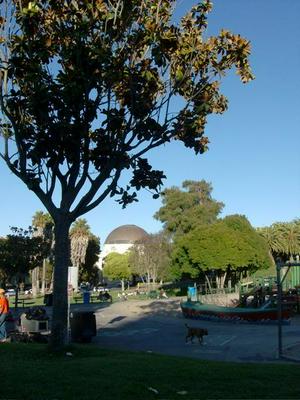 SatAug220080659PM_4.jpg