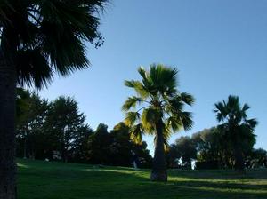 SatAug220080659PM.jpg