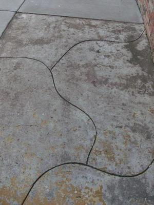 SatAug920080740PM.jpg