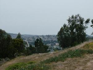 SatJul1220080229PM_2.jpg