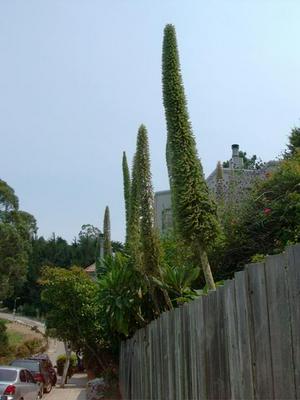 SatJul1220080244PM_2.jpg