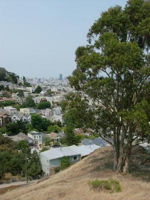 SatJul1220080250PM.jpg