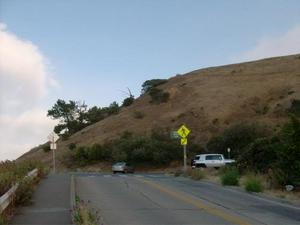 SatJul1920080655PM_4.jpg