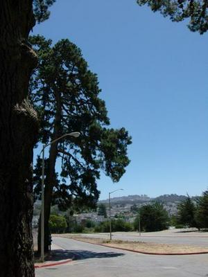 SatJul2620080130PM_3.jpg