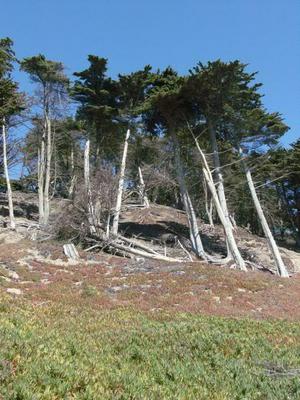 SatJul2620080304PM_3.jpg