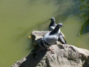 SatJul2620080420PM.jpg