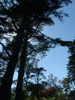 SatJul2620080503PM_2.jpg