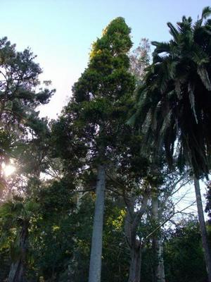 SatJul2620080519PM.jpg