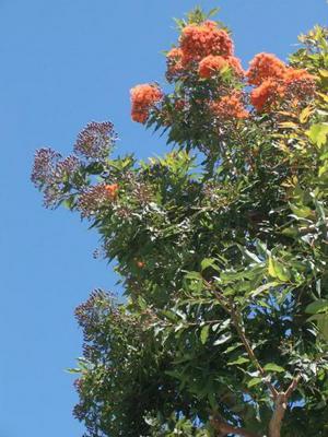 SatJul2620081219PM.jpg