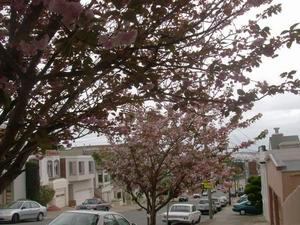SatMay220090329PM_2.jpg