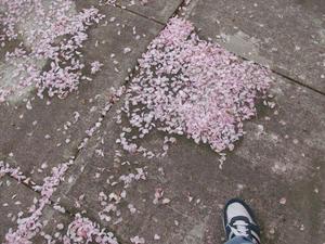 SatMay220090329PM.jpg