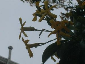SatMay2320090442PM_2.jpg