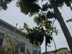 SatMay2320090442PM.jpg