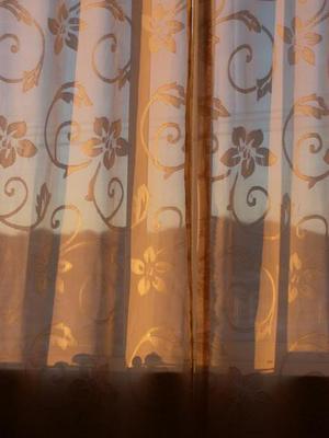 SatNov1520080809AM_2.jpg