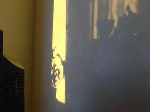 SatNov1520080810AM_2.jpg