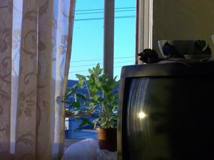 SatNov1520080810AM_3.jpg