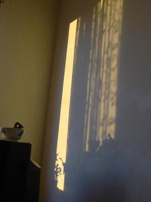 SatNov1520080810AM.jpg