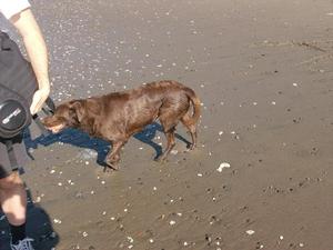 SatNov2220080101PM_3.jpg